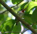 2003_10_25_066.jpg  