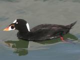 2010_01_23_013a.JPG 