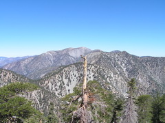 View to Mt San Antonio