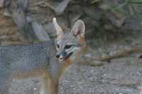 2009_10_02_038.JPG