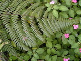2000_03_16_009.JPG  
