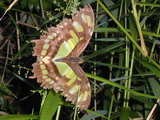 2000_03_16_015.JPG  