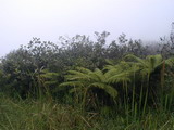 2000_11_20_006.JPG  