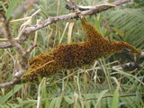 2000_11_20_020.JPG  