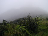 2000_11_20_021.JPG  