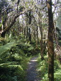 2000_11_20_039.JPG  