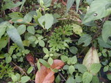 2000_11_20_040.JPG  