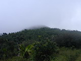 DSCN0059.JPG        