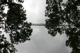 2006_07_15_059.JPG  