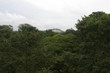 2010_07_05_036.JPG  
