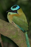 2010_07_15_017.JPG  