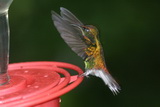 2010_07_17_039.JPG  