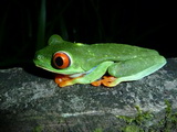 costarica_2012