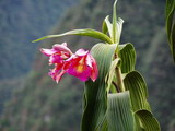 2003_04_19_016.JPG  
