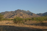 IMG_8654.JPG        