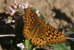 2009_07_10_008a.JPG 