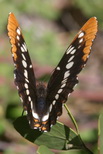 2009_07_10_016a.JPG 