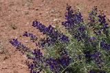 2010_06_02_051.JPG  