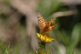 2010_06_07_026.JPG  