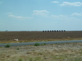 2011_07_06_002.JPG  