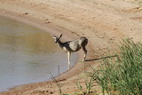 2011_07_22_029.JPG  