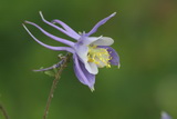 2011_07_24_199.JPG  