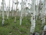 2012_08_02_106.JPG  